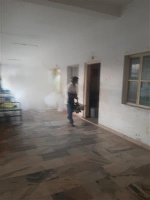 Biochem pest control service in Thanjavur