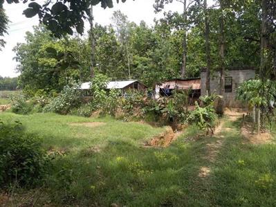 Price Reduced, 2,00,000 to 4,20,000 per bigha, on highway, for sale, 9720715848