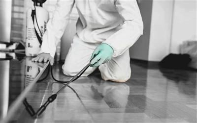 Biochem pest control service in Trichy Territory