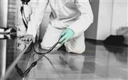 Biochem pest control service in Trichy Territory