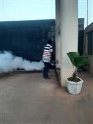 Biochem pest control service in Thanjavur