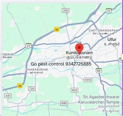 Go pest control in Kumbakonam