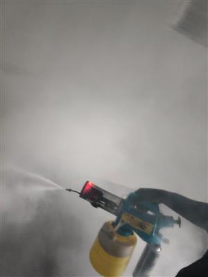 Go pest control service in Salam