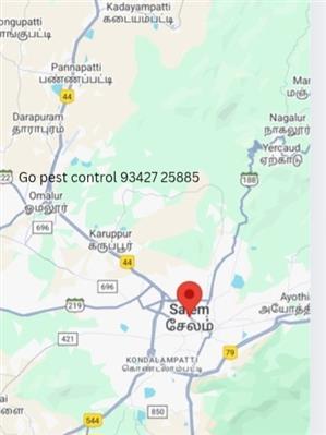 Go pest control in Salem