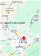Go pest control in Salem