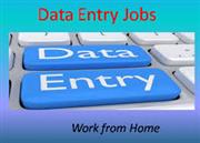 Earn from Home Form Typing Project 7708244092