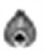 Vacancy for the post of Draftsman