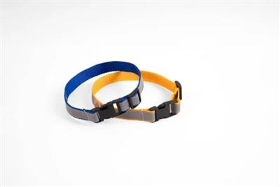 Premium Reflective Dog Collar | Safe, Strong & Comfortable