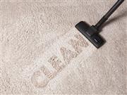 Premium-Quality House Carpet Kaleen Cleaning Provider For Marine Drive