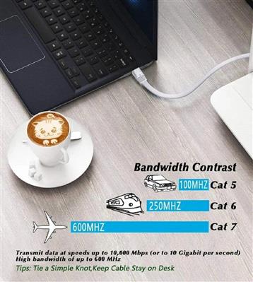 Cat7 Flat Ethernet Cable (White, 10Gbps)