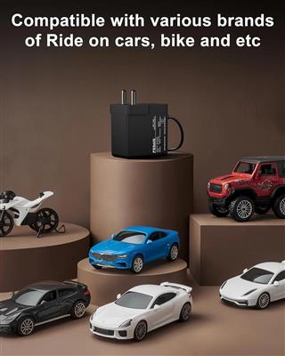 FEDUS 6v Charger for Kids Ride on Car Toys, 6 Volt Battery Charger with Charging