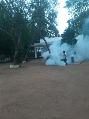 Termite control Biochem pest control service in Thanjavur