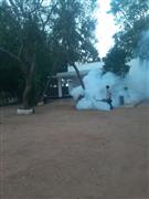 Termite control Biochem pest control service in Thanjavur