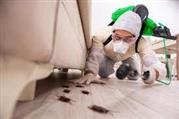 Termite Control Biochem pest control service in Trichy