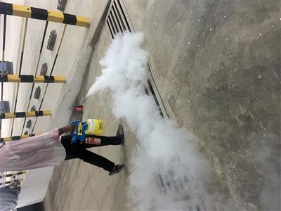 Biochem pest control service in Trichy