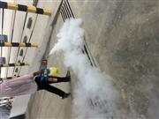 Biochem pest control service in Trichy