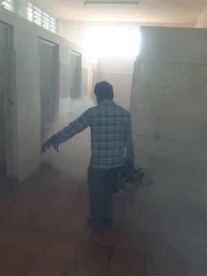 Termite control Biochem pest control service in Thanjavur