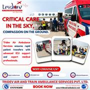 Emergency Medical Aviation Excellence: Advanced Tridev Air Ambulance Services in