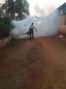 Biochem pest control service in Thanjavur