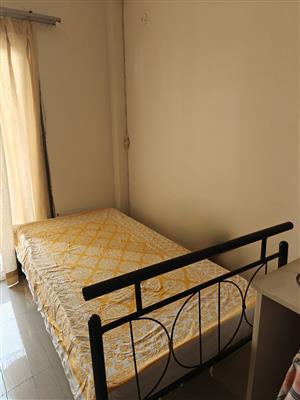 Single bed (pepperfry) and wakefit mattress