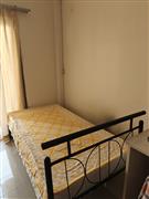 Single bed (pepperfry) and wakefit mattress