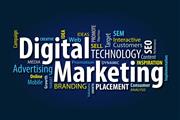 Build a Successful Career with Digital Marketing Training In India