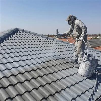 Premium Tile Roofing Services
