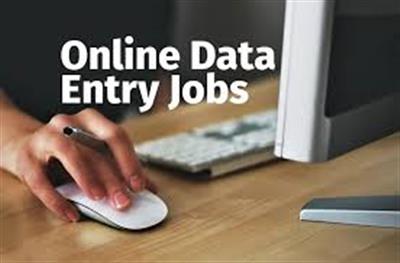 Work from Home: Data Entry Opportunity