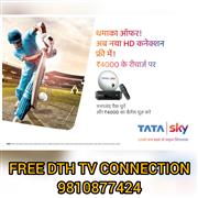 FREE TV HD BOX CONNECTION