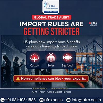 AFM Logistics – International Freight Forwarding and Customs Clearance Services