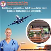 Whom should I contact if I need a dead body transportation, freezer boxes,