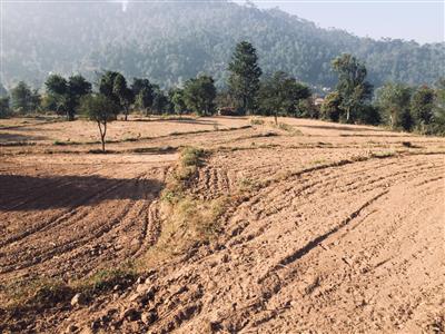 Agriculture Land