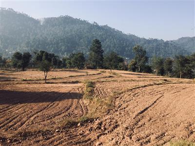 Agriculture Land