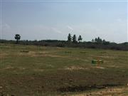 Plots sale at oragadam