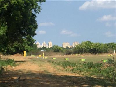 Plots sale at oragadam