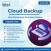 Get free cloud backup and security services with dual protection