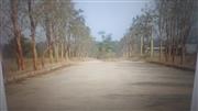A khata on IVC road