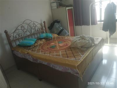 Solid Iron bed without mattress