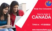 Study visa consultants in jalandhar