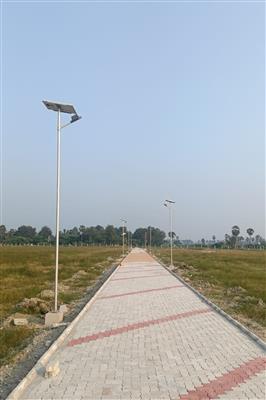 Solar Street Light Manufacturer in India | Zitroen