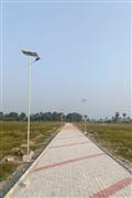 Solar Street Light Manufacturer in India | Zitroen