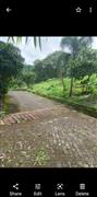 Hilton house plots for sale Thrissur