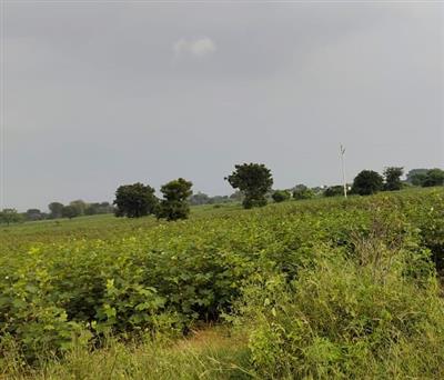 Farm Land Shadnagar