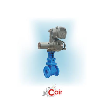 Sluice Valve Manufacturer in India