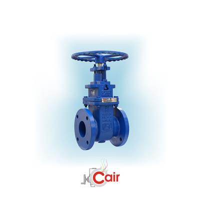 Sluice Valve Manufacturer in India