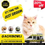 The Best Pet Parlour in Hyderabad Just Groom