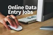 High-Paying Data Typing Work | Contact Us
