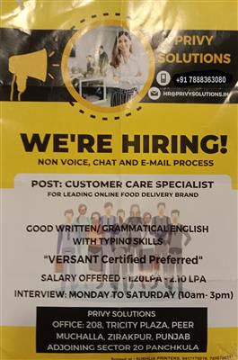 Customer care executive