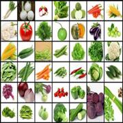Abono Combo Vegetables Seeds 9 varieties Pack
