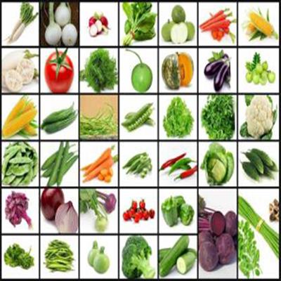 Abono Vegetables Seeds Combo Pack 9 varieties